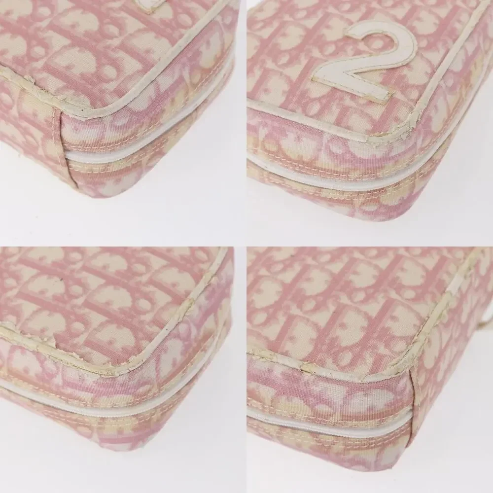 Dior Trotter Pouch Pink